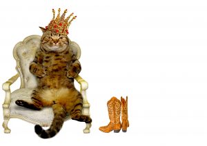 On a white background, a Tabby Cat sits on an ornate white chair. The cat wears a gold crown with red jewels. Next to the chair there's a pair of cowboy boots.